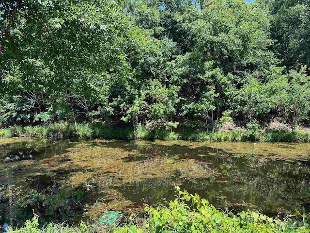 view of local wilderness featuring a water view