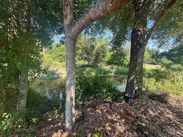 view of local wilderness featuring a water view