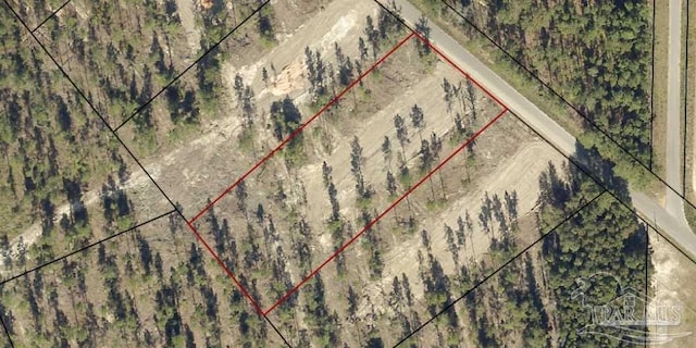 2143 Pineview Church Rd, Jay, FL 32565 - map of property location with property parcel outlined