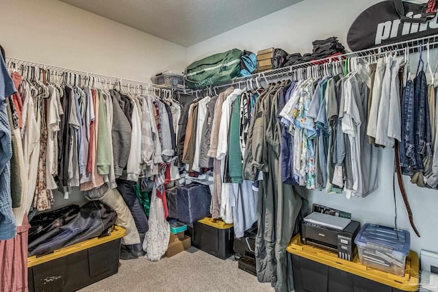 walk in closet with carpet flooring