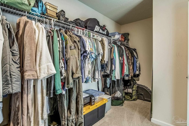 spacious closet featuring carpet flooring