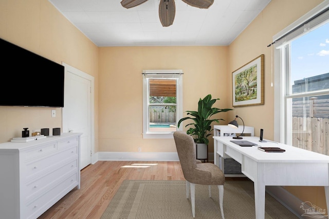 office space with light hardwood / wood-style flooring and ceiling fan