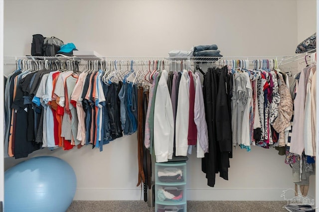 walk in closet featuring carpet flooring