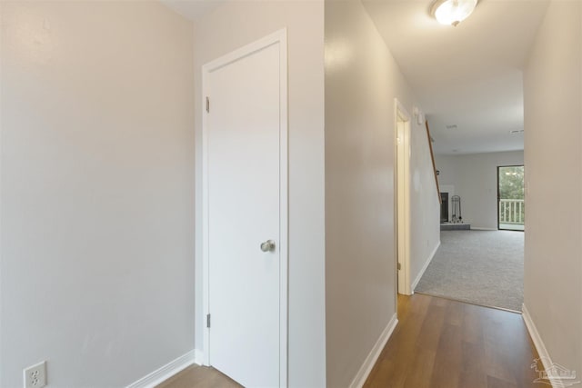 hall featuring wood-type flooring