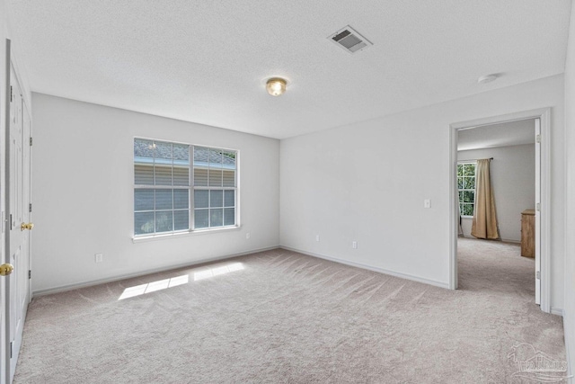 empty room featuring a wealth of natural light, light carpet, and a textured ceiling