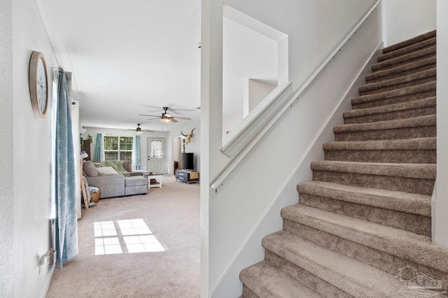 staircase with carpet flooring and ceiling fan