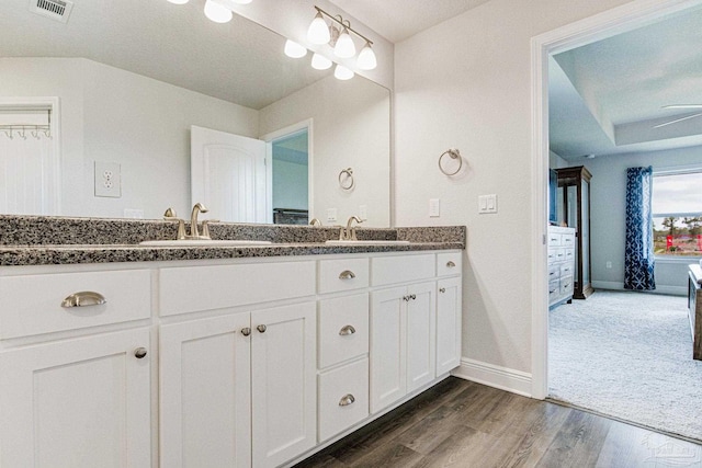 bathroom with vanity and hardwood / wood-style floors