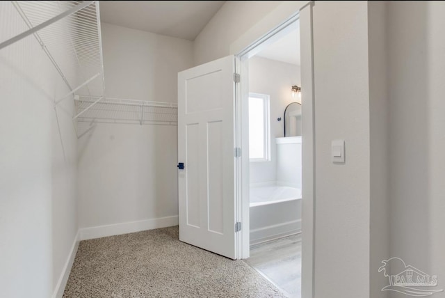 view of walk in closet