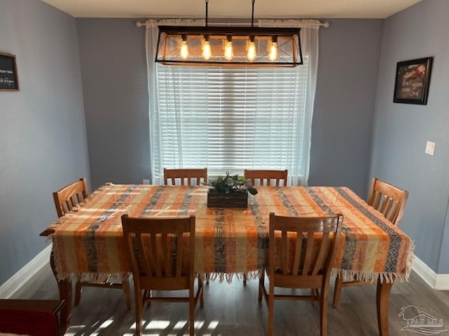 dining space featuring dark hardwood / wood-style flooring