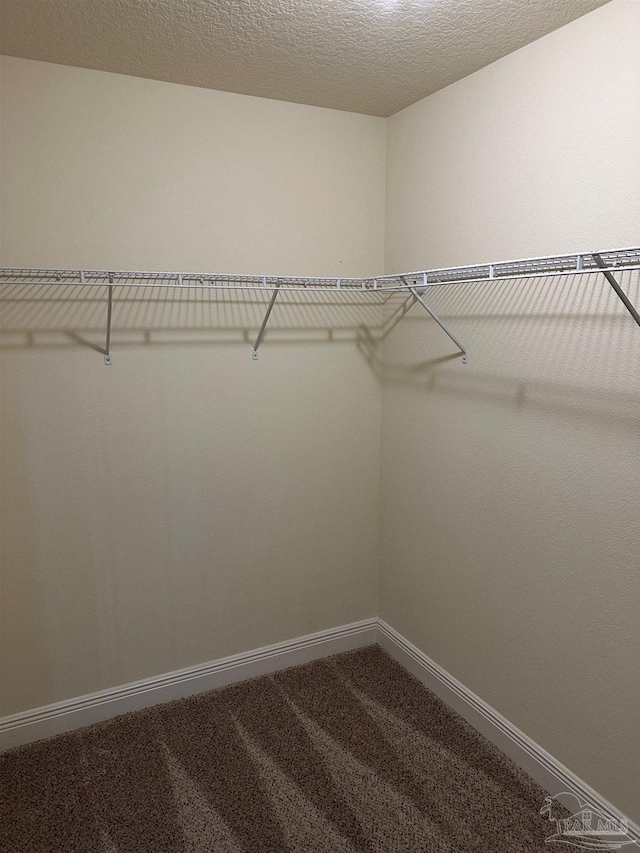 walk in closet featuring carpet flooring