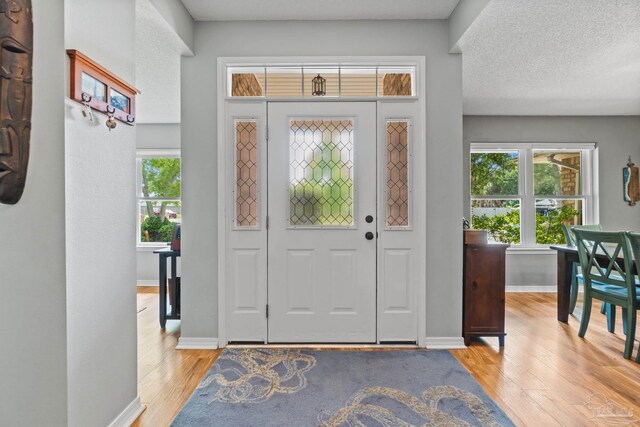 1265 Grand Ridge Cir, Gulf Breeze, FL 32563 - entryway featuring light wood-type flooring, plenty of natural light, and baseboards