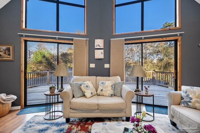 living area featuring a high ceiling and wood finished floors