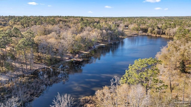 property view of water with a forest view