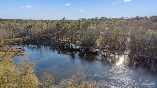 property view of water with a forest view