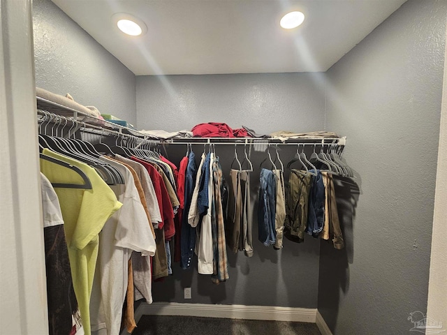 view of spacious closet