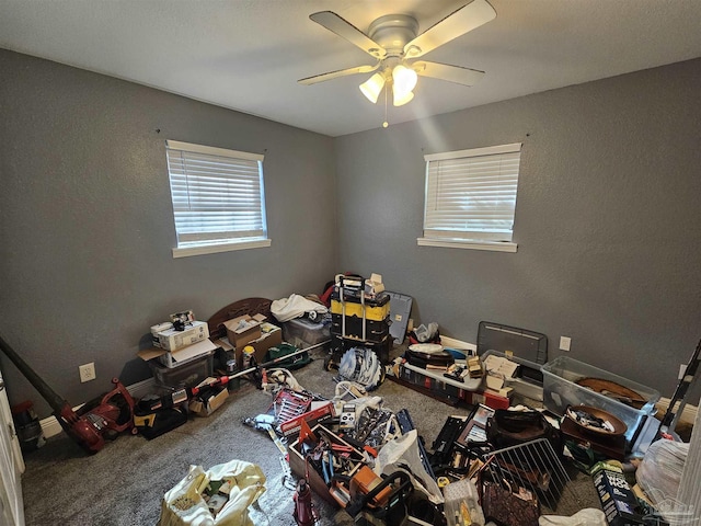 misc room featuring ceiling fan and carpet