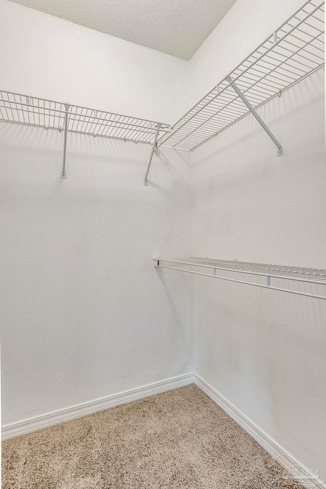 walk in closet with carpet