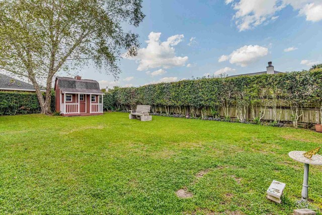 view of yard with a shed