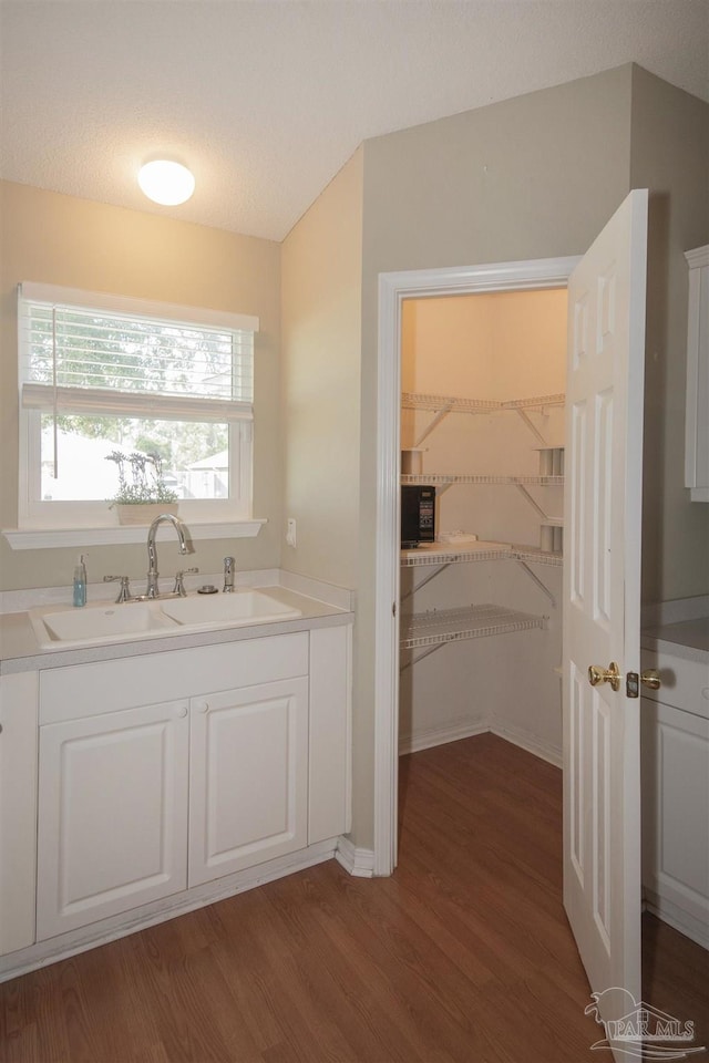 bathroom with wood finished floors and a sink