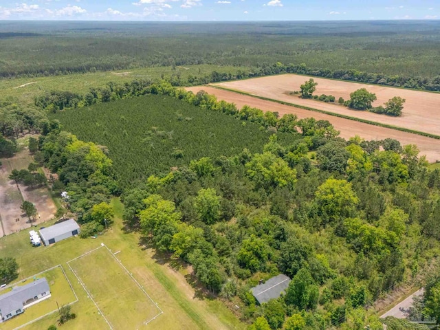 0000 Lewis Rd, Milton, FL 32570