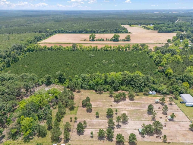 0000 Lewis Rd, Milton, FL 32570