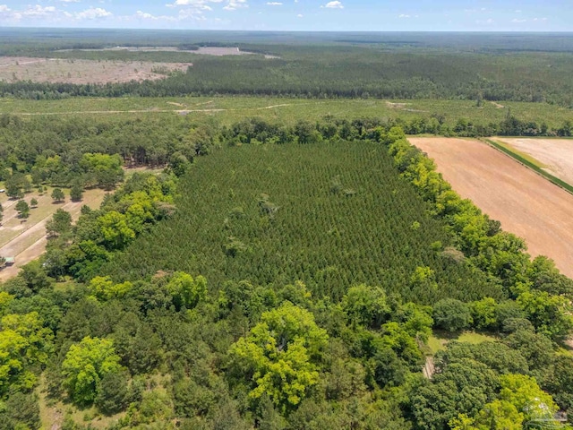 0000 Lewis Rd, Milton, FL 32570
