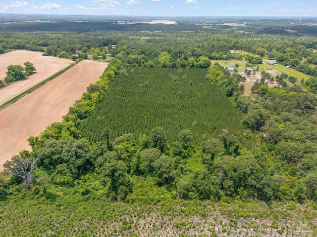 0000 Lewis Rd, Milton, FL 32570