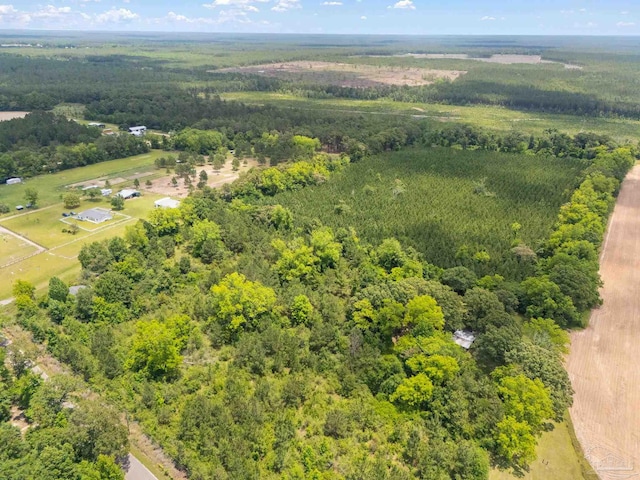0000 Lewis Rd, Milton, FL 32570