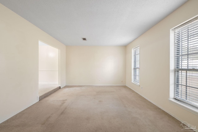 carpeted empty room featuring a wealth of natural light, visible vents, a textured ceiling, and baseboards