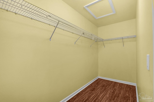 208 Millet Cir, Cantonment, FL 32533 - walk in closet with attic access and dark wood finished floors