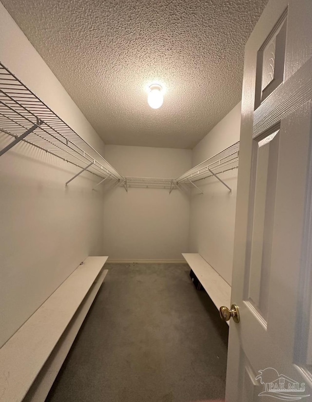 5473 Timber Creek Cir, Pace, FL 32571 - spacious closet with carpet