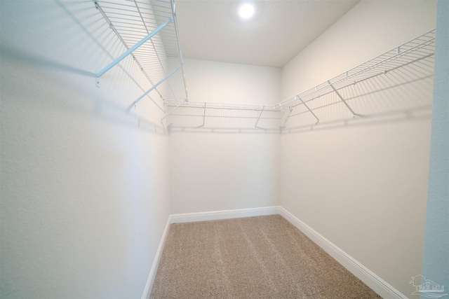 walk in closet with carpet