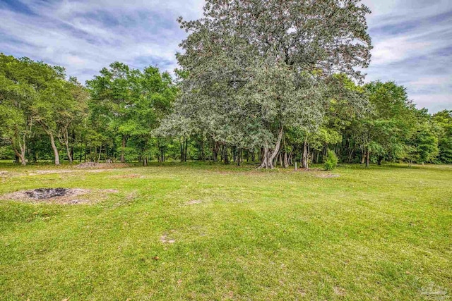 view of yard featuring a wooded view