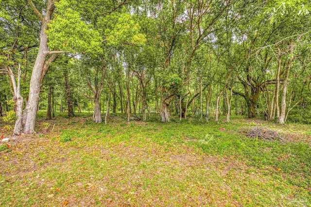 view of yard with a wooded view