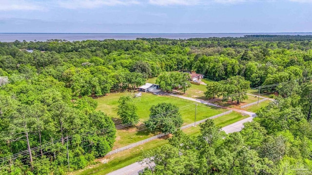 bird's eye view featuring a view of trees