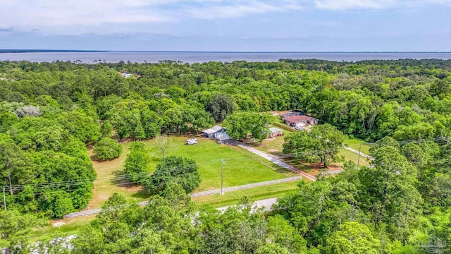 drone / aerial view featuring a view of trees