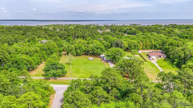 drone / aerial view with a water view and a wooded view