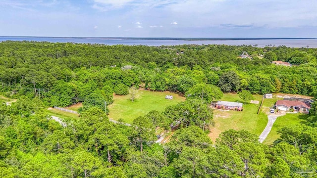 bird's eye view featuring a water view and a forest view
