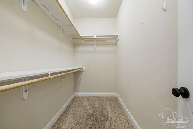 walk in closet featuring carpet flooring