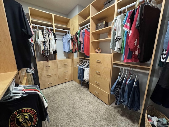 3849 Saber Tooth Cir, Gulf Breeze, FL 32563 - walk in closet with carpet floors