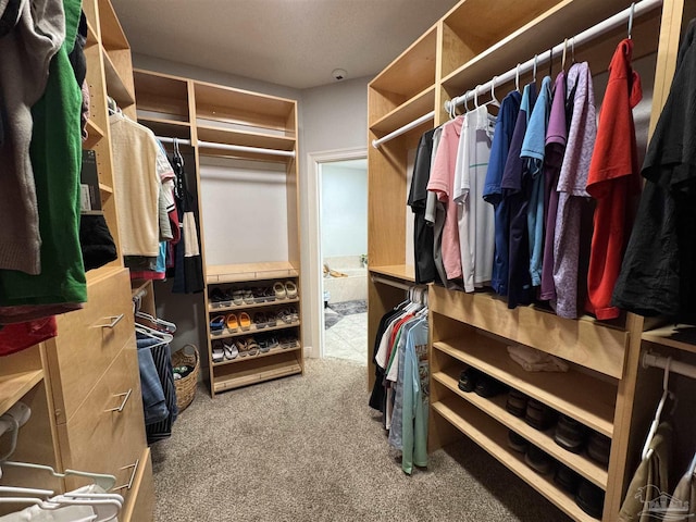 3849 Saber Tooth Cir, Gulf Breeze, FL 32563 - spacious closet featuring carpet flooring