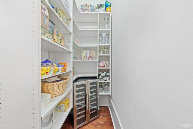 pantry with wine cooler