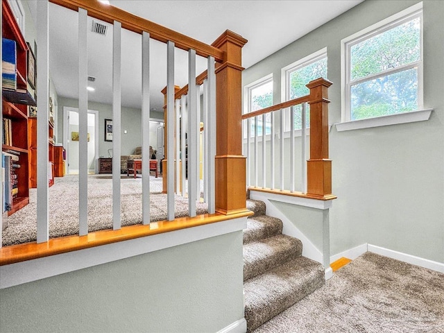 staircase featuring carpet flooring