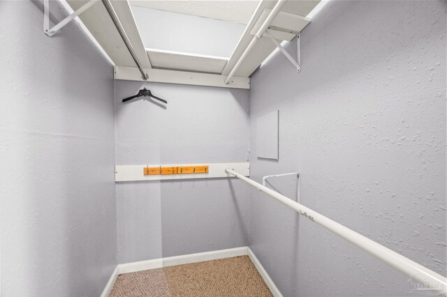 2931 Pine Forest Rd, Cantonment, FL 32533 - walk in closet featuring carpet flooring