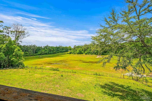 2931 Pine Forest Rd, Cantonment, FL 32533 - view of yard