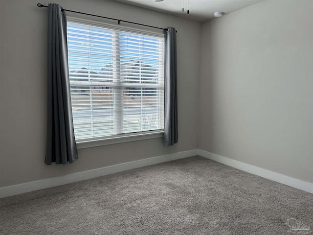 carpeted empty room featuring ceiling fan and a wealth of natural light