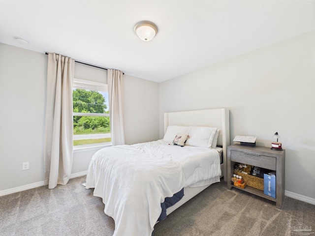 430 Morris Ave, Cantonment, FL 32533 - carpeted bedroom featuring baseboards