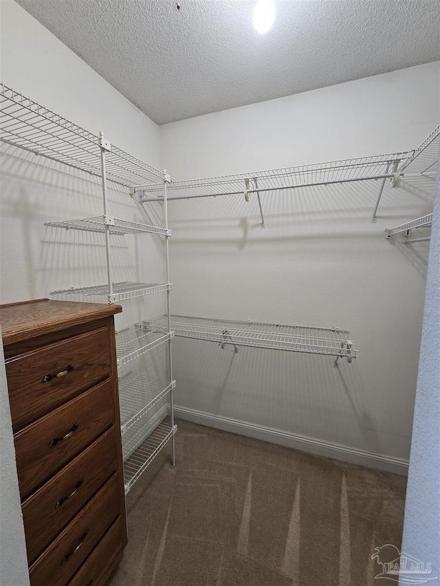 spacious closet with dark carpet