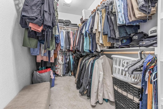 2120 Eagles Ridge Cv, Cantonment, FL 32533 - spacious closet with carpet floors