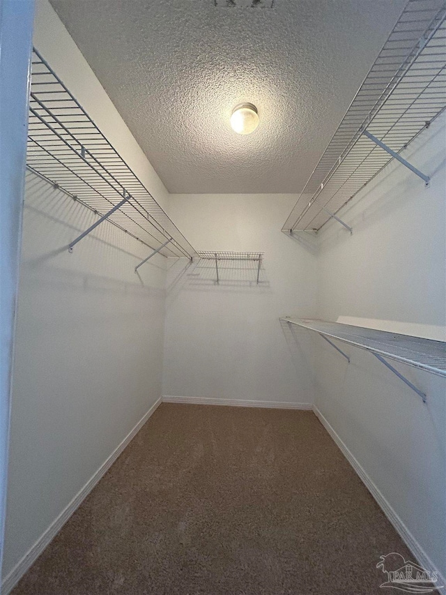 spacious closet with carpet